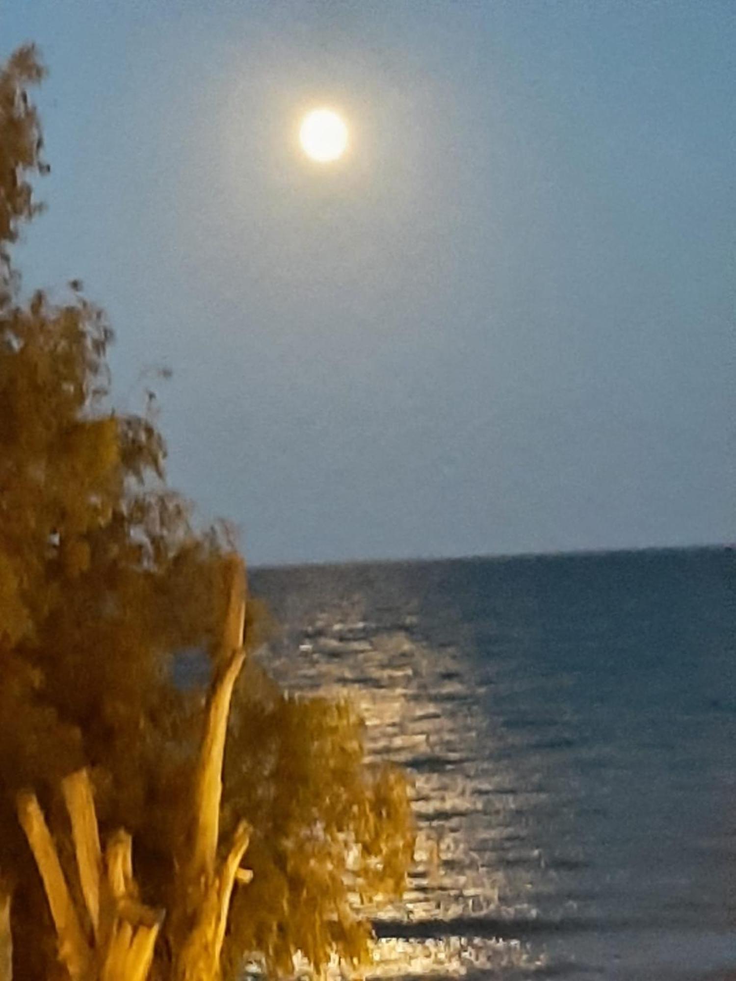 Nice Apartment With Terrace On The Los Locos Beach Torrevieja Esterno foto