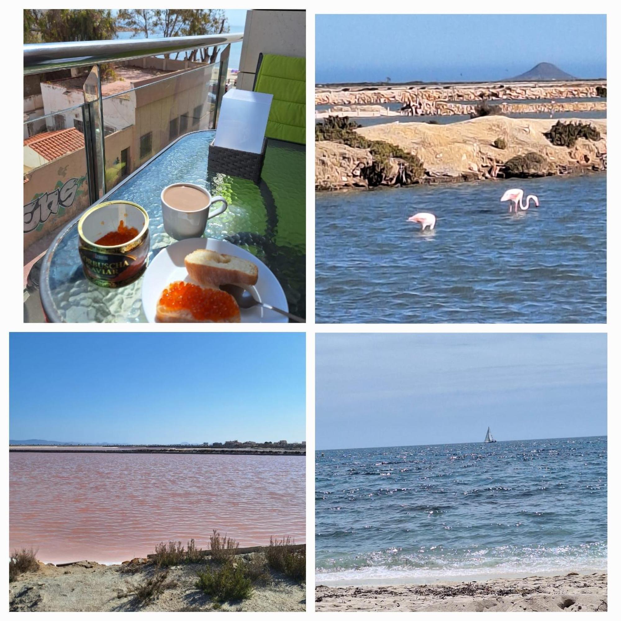 Nice Apartment With Terrace On The Los Locos Beach Torrevieja Esterno foto